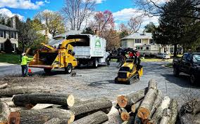 Best Storm Damage Tree Cleanup  in Oakland, NJ
